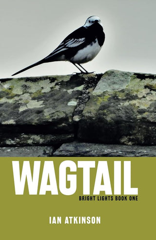 Wagtail: Bright Lights Book One cover image